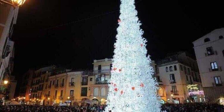 salerno christmas tree
